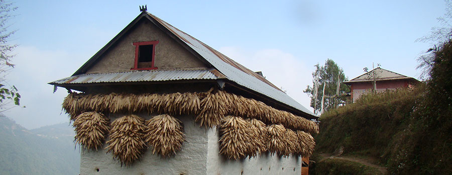 Timal Trekking